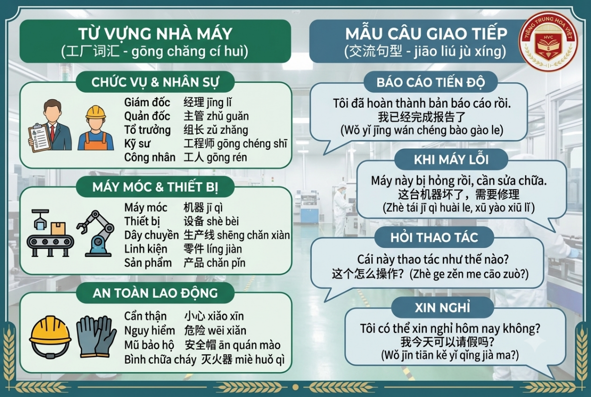 Tiếng Trung trong nhà máy: Từ vựng, mẫu câu giao tiếp thực tế cho người đi làm
